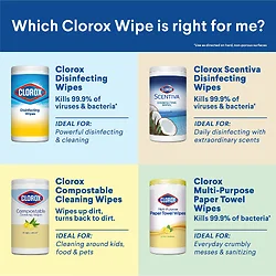 CLOROX-CLO 31404