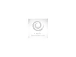 Honeywell VM1078CABLE