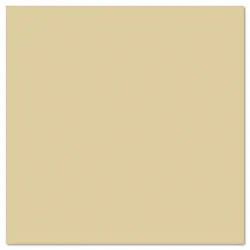 TENNSCO-TNN STS1218723MG