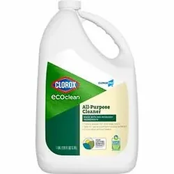 CLOROX-CLO 60278