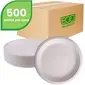 ECO-PRODUCTS,INC.-ECO EPP013NFA
