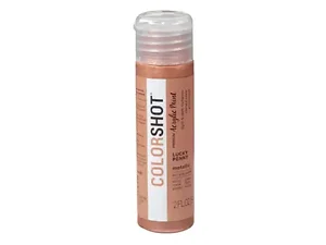 Bulk Buys AD419 - ColorShot Lucky Penny 2oz Metallic Acrylic Paint