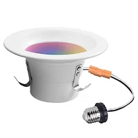 Globe Electric Co-50078