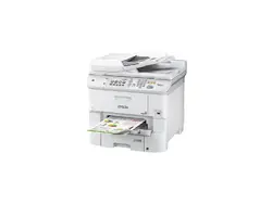 EPSON-C11CD49201-NA