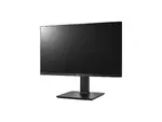 LG Electronics 24BP450Y-I