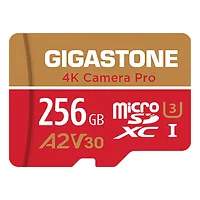 GIGASTONE-GS-2IN1-4KA2V30-256GB-R