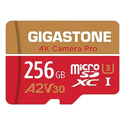 GIGASTONE-GS-2IN1-4KA2V30-256GB-R