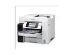 EPSON EPSC11CJ29203