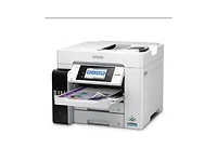 EPSON-EPSC11CJ29203
