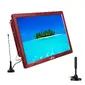 BeFree-BFS-TV14-RED-DUALAMP-RB