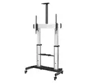 STARTECH STNDMTV100