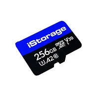 ISTORAGE-IS-MSD-1-256