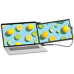 Mobile Pixels-101-1007P06