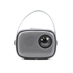 NAXA ELECTRONICS-EVP-1001