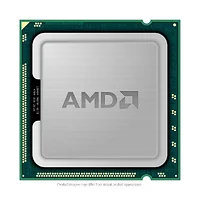 AMD-100-100000323WOF