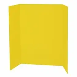 DIXON TICONDEROGA CO.-PAC P3769