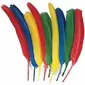 DIXON TICONDEROGA CO.-PAC 4503