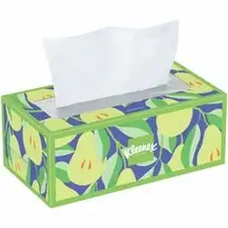 KIMBERLY CLARK-KCC 54266