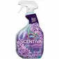 CLOROX-CLO 60523