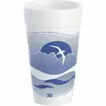 Dart Container Corporation DCC 20J16H