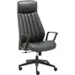 LYS-LYS CH100LABK
