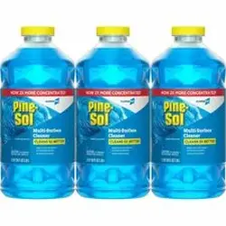 CLOROX-CLO 60609