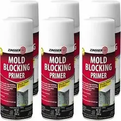 RUST-OLEUM CORPORATION-RST 287512CT