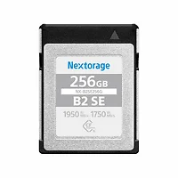 NEXTORAGE-NX-B2SE256G