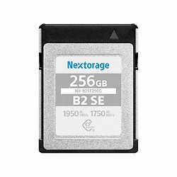 NEXTORAGE-NX-B2SE256G