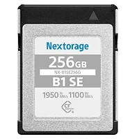 NEXTORAGE-NX-B1SE256G