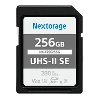 NEXTORAGE-NX-F2SE256G
