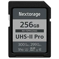 NEXTORAGE-NX-F2PRO256G