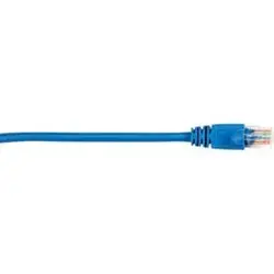 BLACK BOX CORPORATION-BBN CAT5EPC002BL