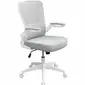 Norstar Office Products Inc-BOP 6366WTGY