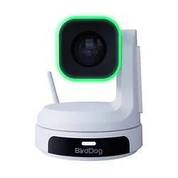 BirdDog-BDPX1W