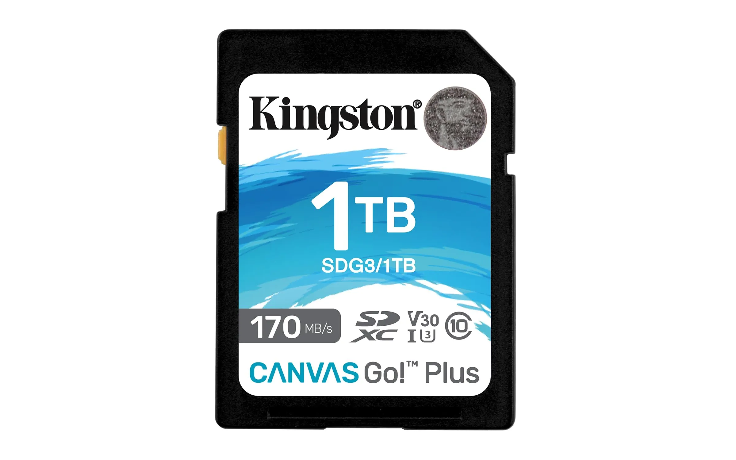 KINGSTON-SDG31TB