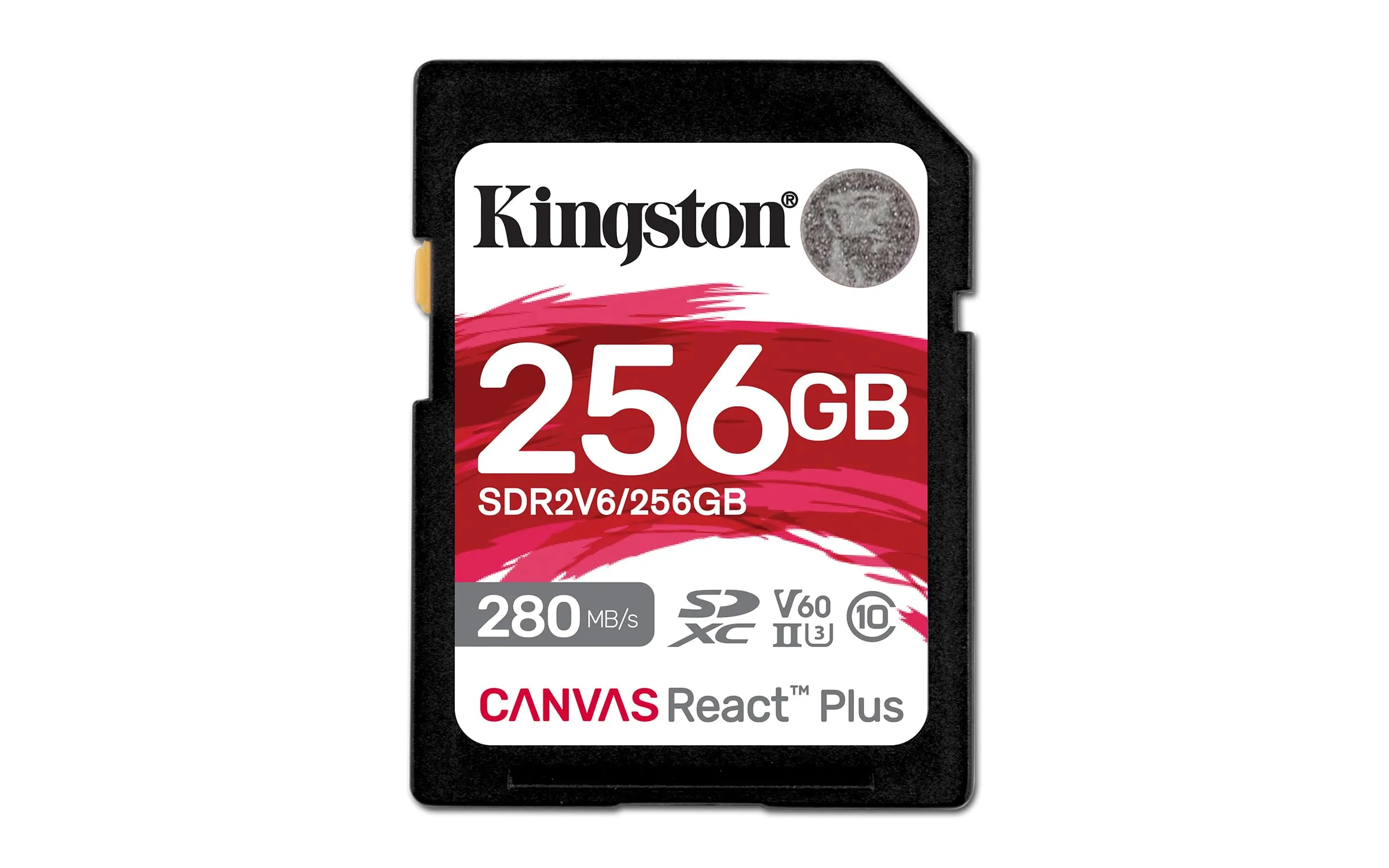 KINGSTON-SDR2V6256GB