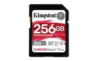 KINGSTON-SDR2V6/256GB