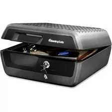 Sentry Group-SENCHW30200