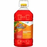 CLOROX-CLO 60615