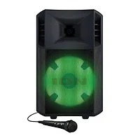 Ion-POWERGLOW300XUS