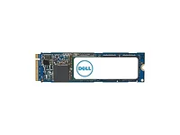 DELL-SNP228G44/1TB