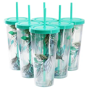 Gibson 136425.01 - Home 6-Piece Double Wall Tumbler Set with Lids & Straws