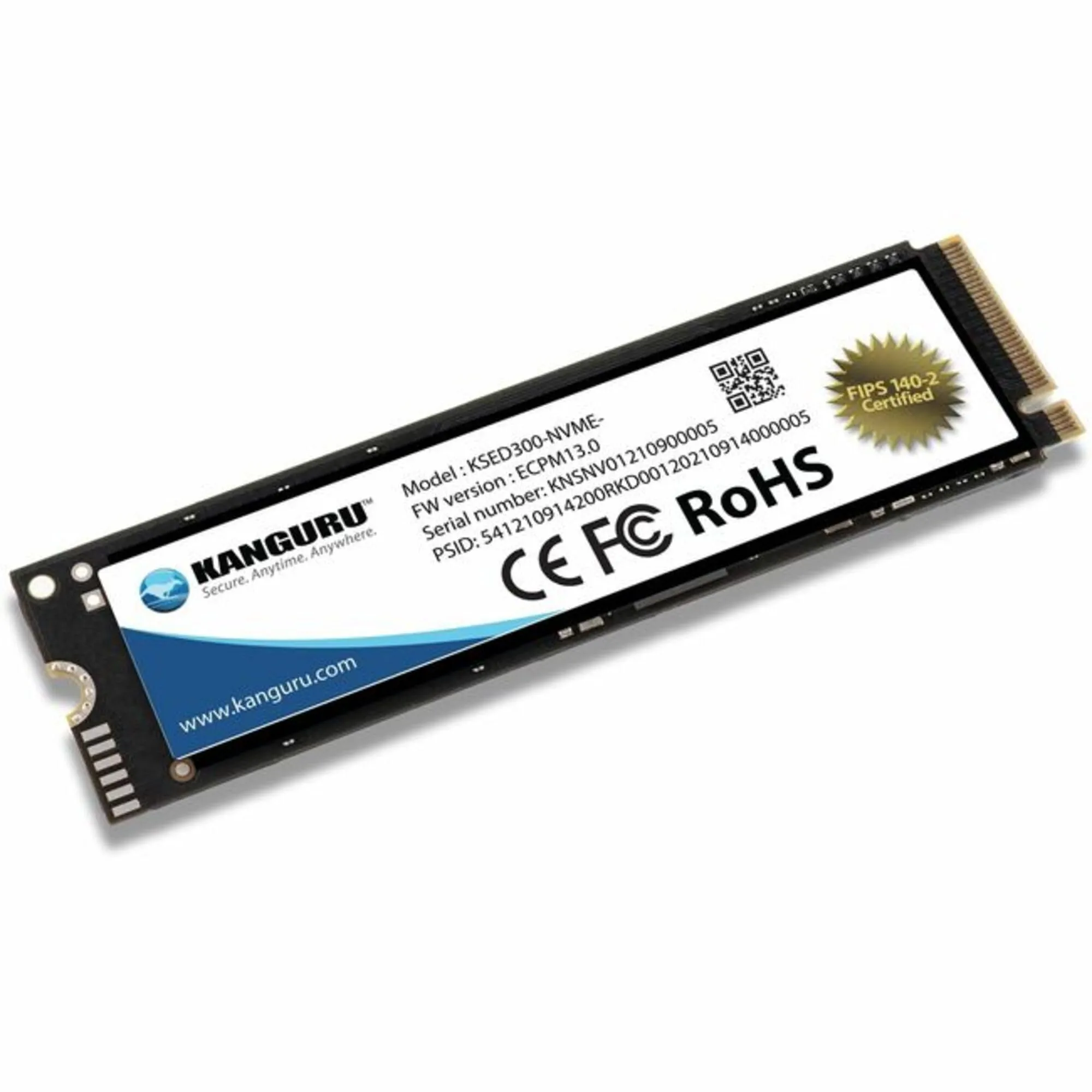 KANGURU-KSED300NVME500G