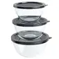 Babish-131309.06R