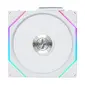 LIANLI-12RTL1W1W