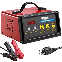 Nippon Labs-LBCG12100