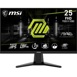 MSI-MAG256F