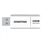 GIGASTONE-GS-U3256GBWH-BC-R