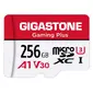GIGASTONE-GS-2IN1-A1V30GAME-256GB-R